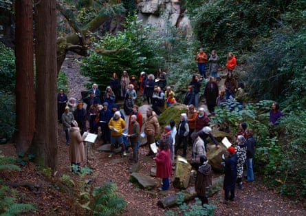 Singing plants back to health … Some Kind of Love/Forest Choir by Uta Kögelsberger.