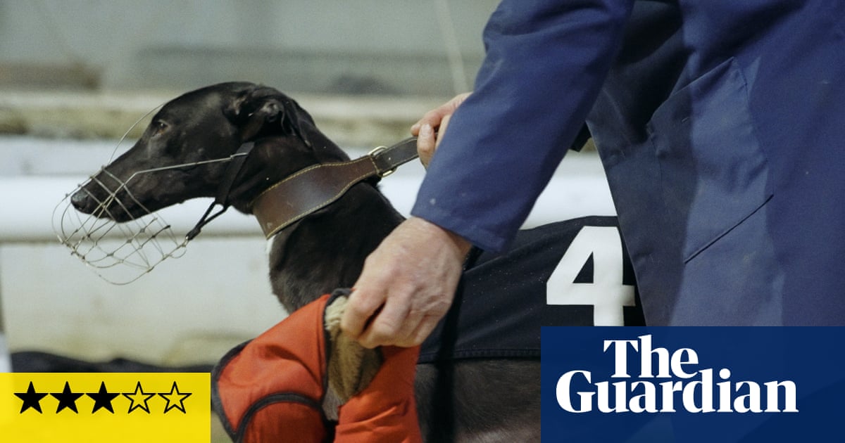 Going to the Dogs review – lovable canines at the heart of a sport in decline