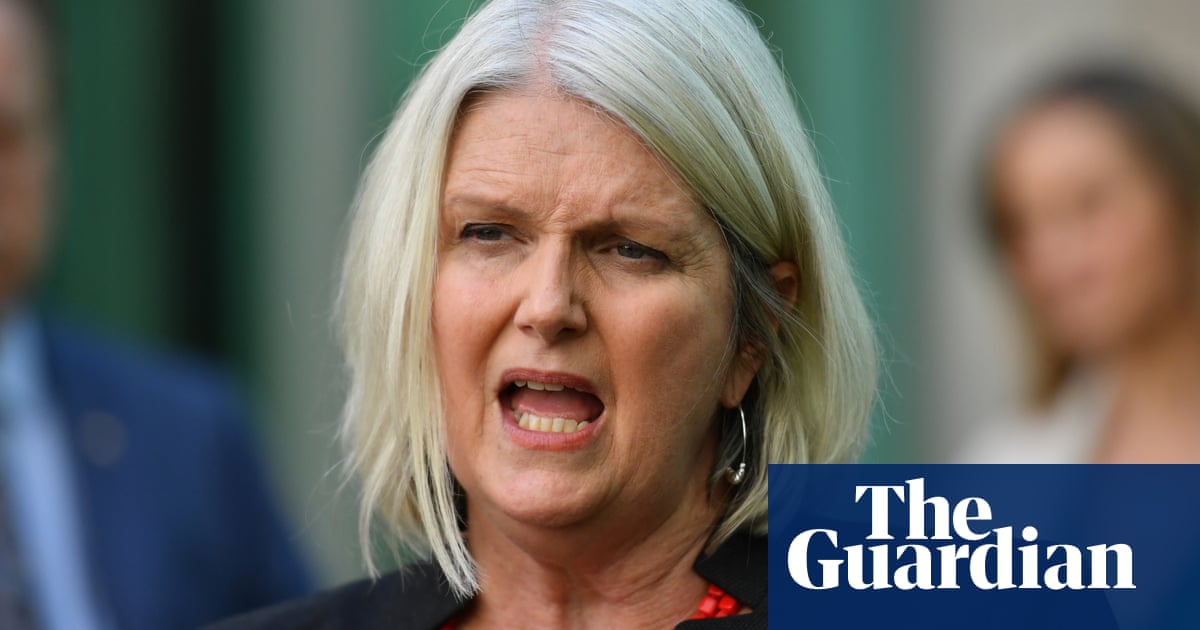 pix Covid Disaster Payment Nsw Centrelink coalition urged to expand covid