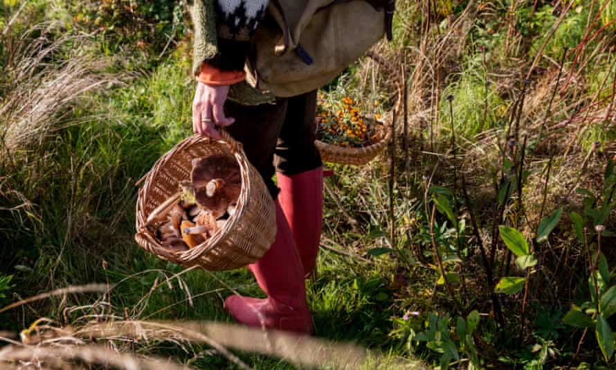 woman with foraging basket