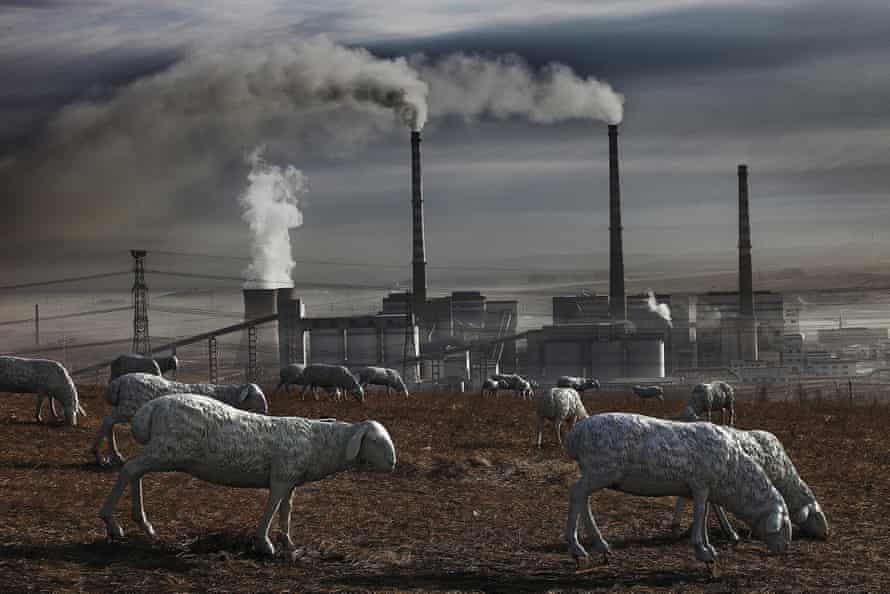 Locals have installed sheep sculptures to replace real animals in a polluted field in Holingol, Mongolia.