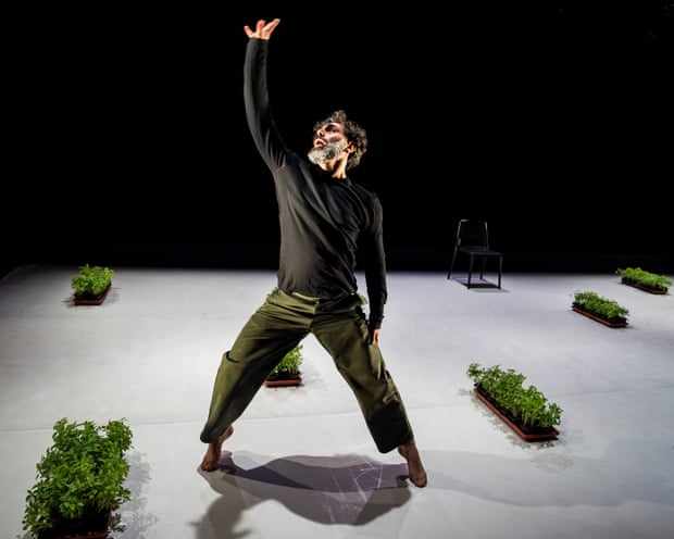 Omar Rajeh dances in a lunge, arm raised, near potted plants in Dance Is Not for Us