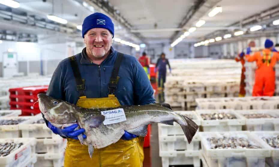 David Milne, skipper of the MSC-certified trawler Adorn, holds a cod in Peterhead fish market.
