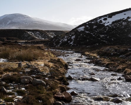 A stream on the Kinrara Estate bought by Oxygen Conservation.