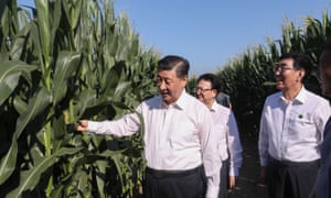 Xi Jinping aprende sobre a produção de grãos no condado de Lishu, na cidade de Siping, província de Jilin, no nordeste da China.