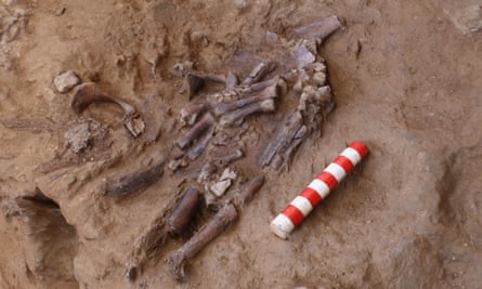 The remains of the skeleton discovered.