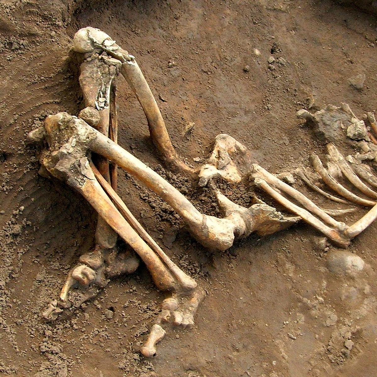 Five things you can learn from a Roman skeleton | Membership | The ...
