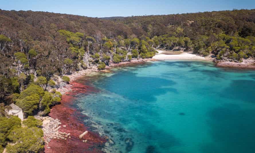 Bittangabee Bay is one turquoise coloured cove in Ben Boyd national park.