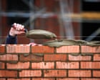 Free land for those who will build on it. Is this the radical solution to the UK's social housing problem? | Phineas Harper