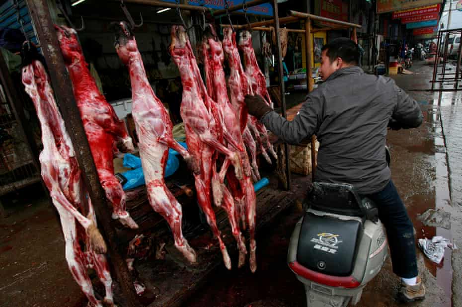 Dog meat has long been a popular delicacy in China, but attitudes are shifting.