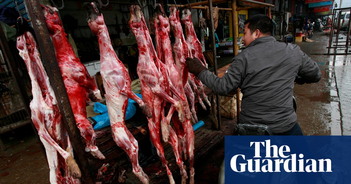 Shenzhen could be first city in China to ban eating of dogs and cats