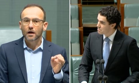 Adam Bandt calls for parliament to recognise Palestinian state – video