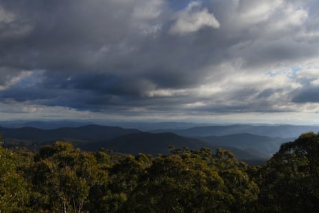 Bulga Forest from Blue Knob fire tower
