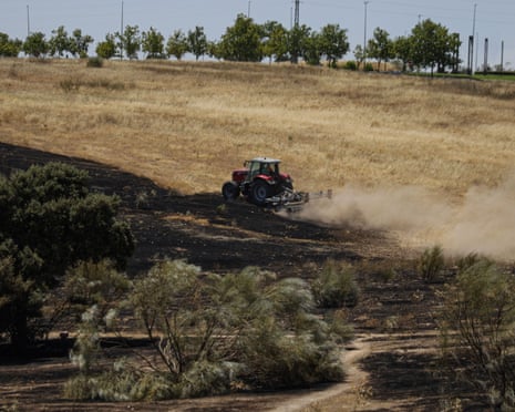 Municipal workers and local residents carry out cooling operations while tractors create firebreaks after a vegetation fire broke out near residential areas in Navalcarnero, Madrid.