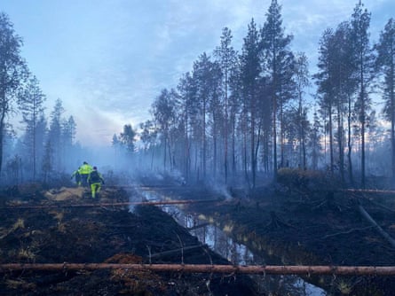 firefighters in a forest amid smoke and scorched earth