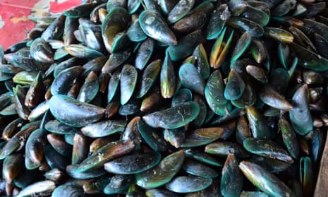 Mussels are among the New Zealand exports affected by China’s suspension on Wednesday.