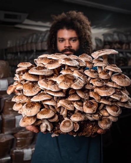 Michael Crowe with an abundance of homegrown mushrooms.