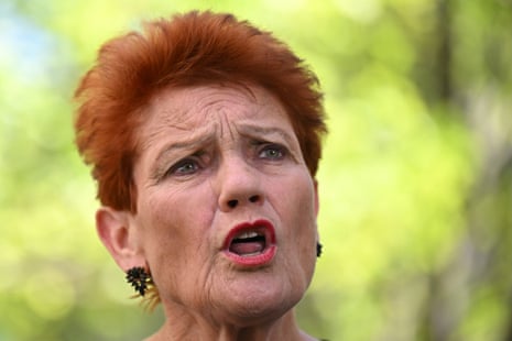 One Nation senator Pauline Hanson