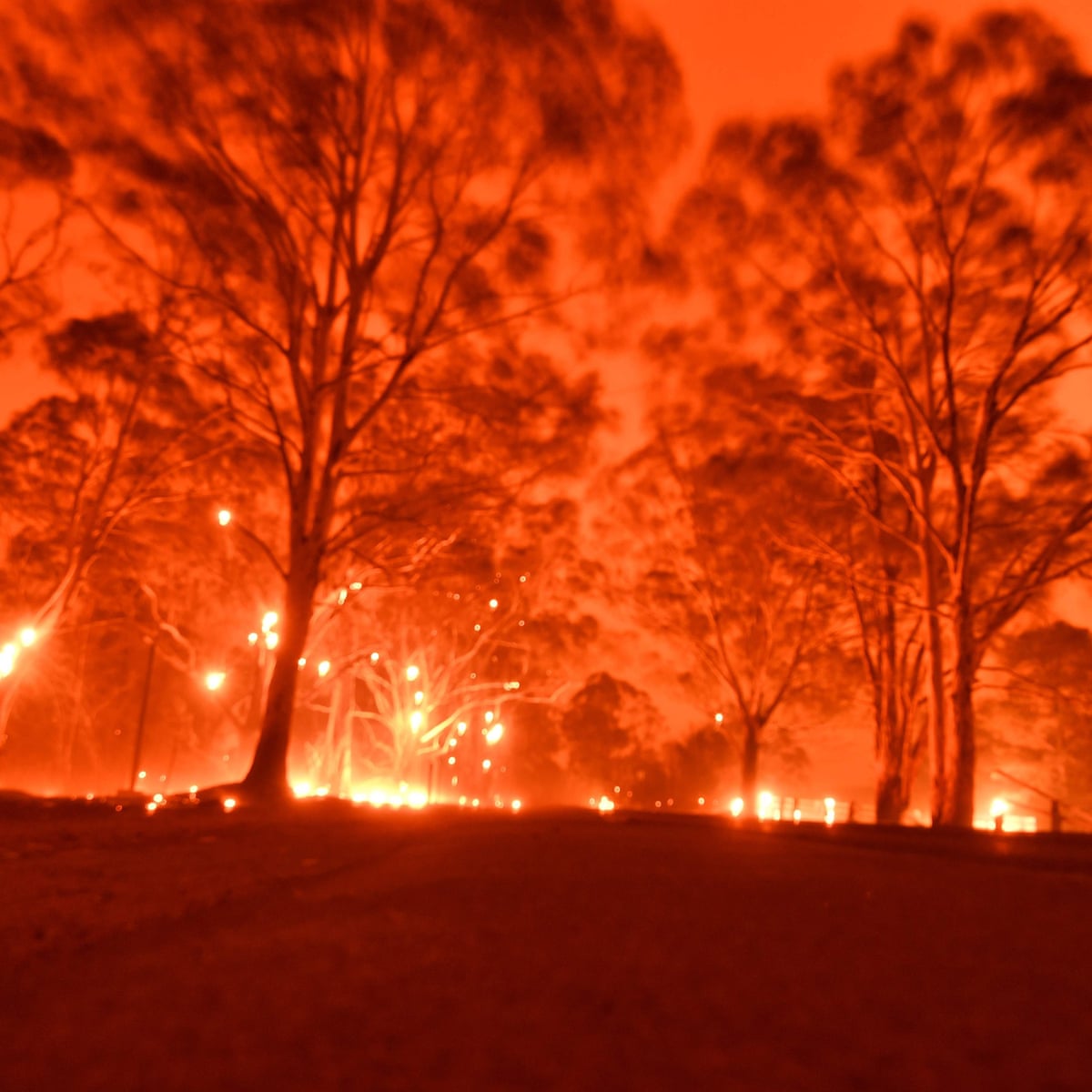 Bushfires What S Happening In Australia Right Now And Why Are There So Many Australian Fires Fun Kids The Uk S Children S Radio Station