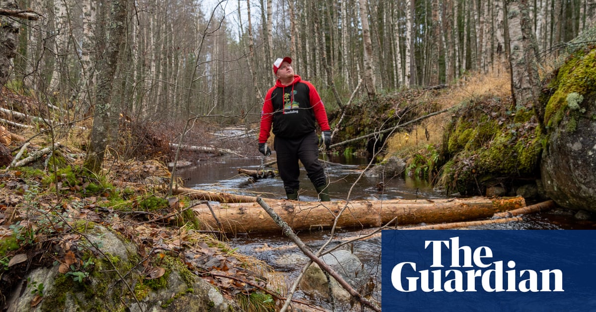 'We're basically starting from zero': Restoring Finland's river ecosystems | Rewilding | The Guardian