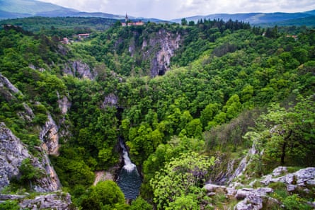 Gorge, wooded ravine