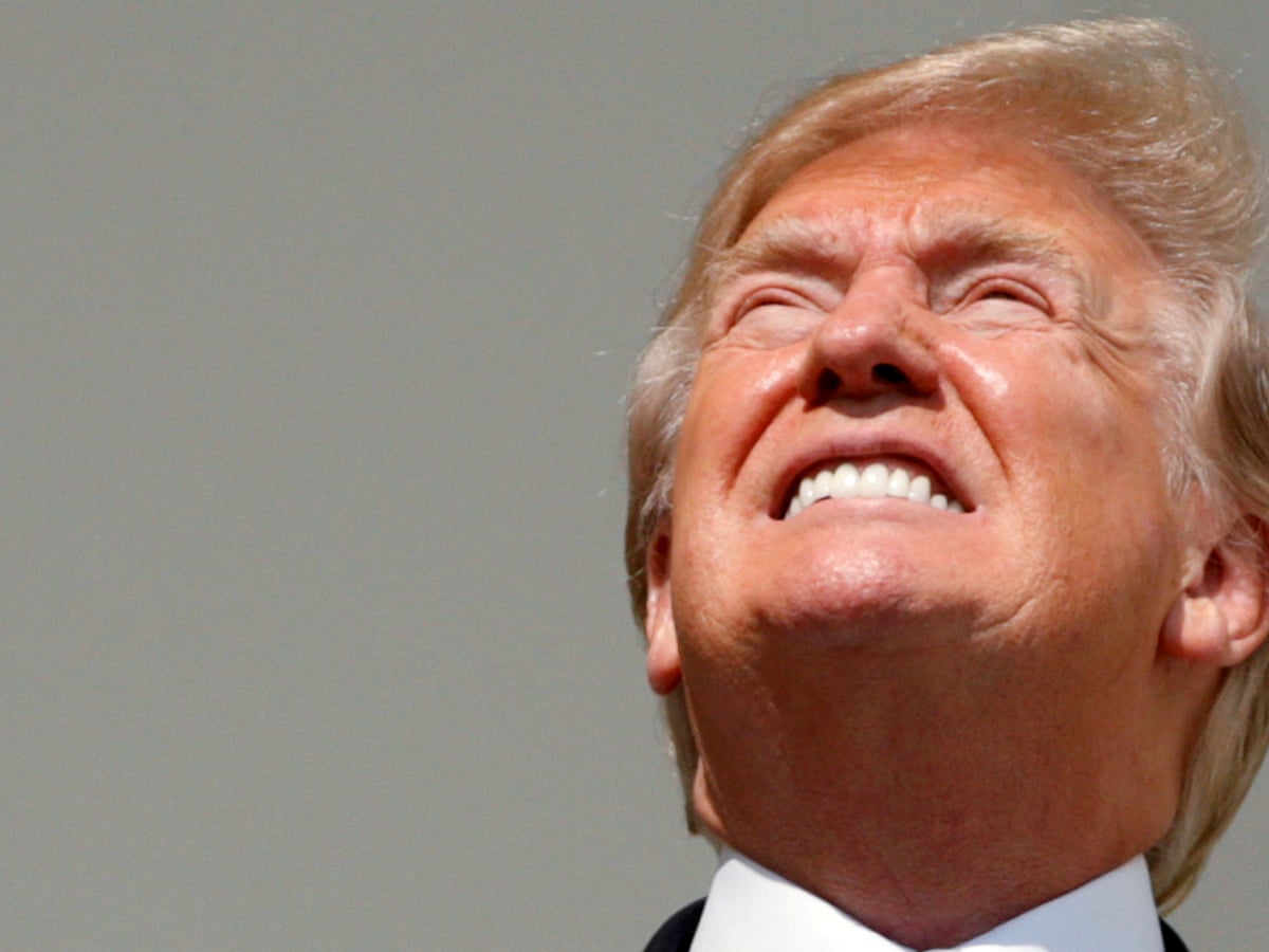 Not Too Bright Trump Trolled For Staring At The Eclipse With No Eye Protection Science The Guardian