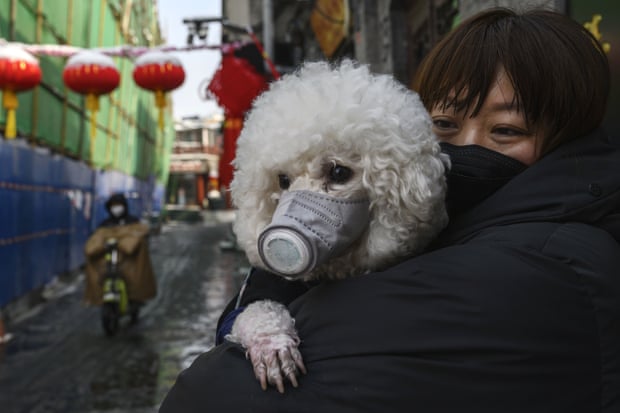 A woman and her dog wear protective masks.