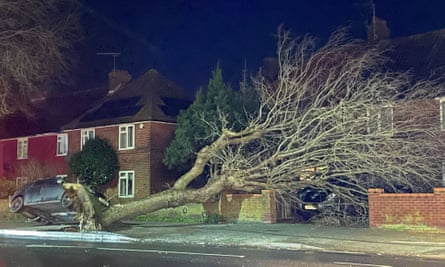 A tree blown over by Storm Henk that has landed on one car and upturned another on Nacton Road in Ipswich.