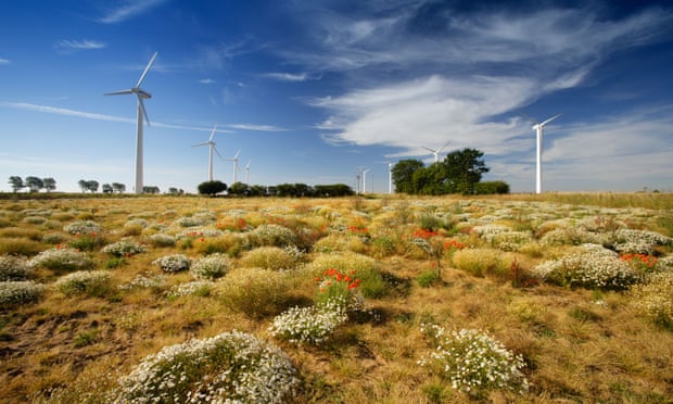 Wildflowers and wind turbines in a wind farm in East Somerton, Norfolk, UK
