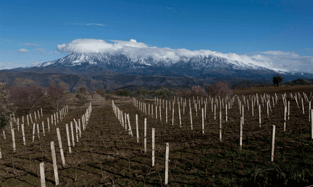 Çobo winery, Albania, with Mount Shpirag in the distance