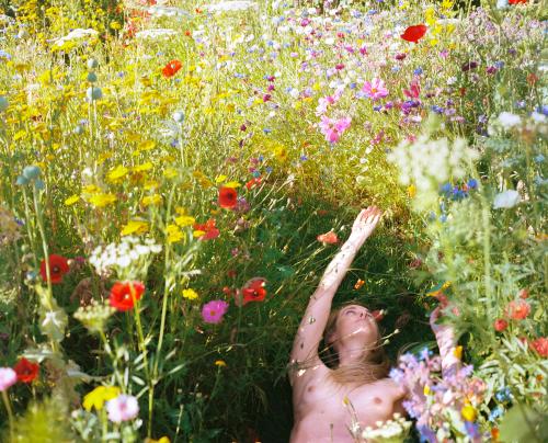 A woman lying naked amid tall wildflowers