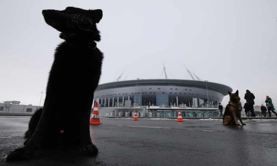Dogs outside the Zenit Arena stadium in St Petersburg, Russia.