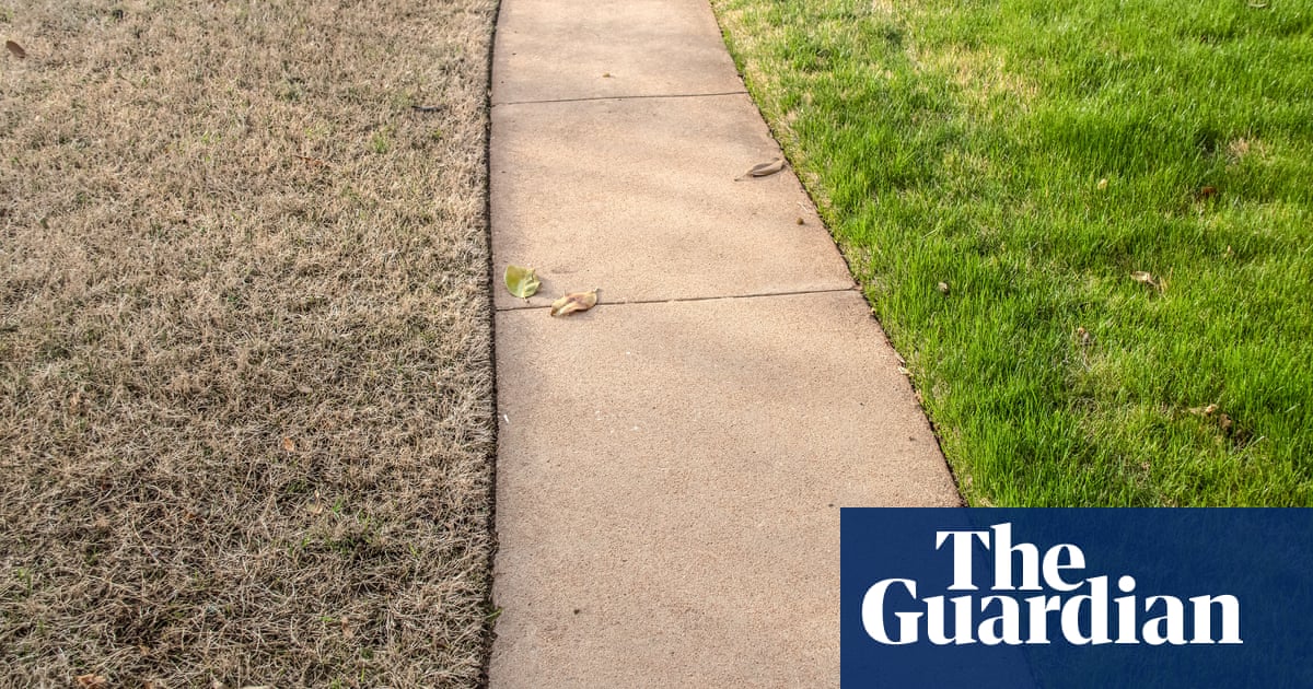 The brilliance of brown lawns: why your grass shouldn’t always be greener