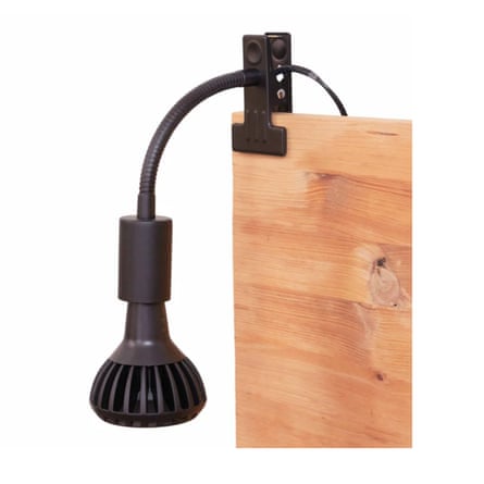 Pianta Grow Light and Stelo Clip-On Bulb Holder Bundle