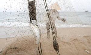 A woman collects fish on the beach of Dong Yen village next to the Formosa factory.