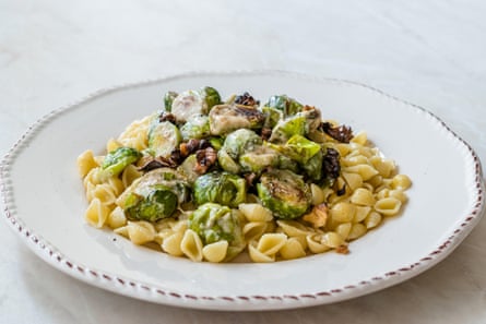 Pasta shells topped with brussels sprouts
