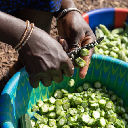 A woman cuts okra in the village of Ibel, south-eastern Senegal