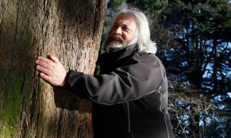 David Knott hugging a sequoia tree