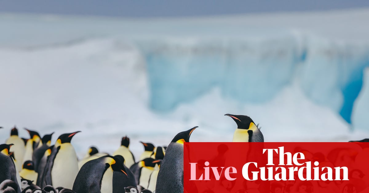 Scientists Confirm Abrupt Antarctic Ice Loss Threatening Global Sea Levels