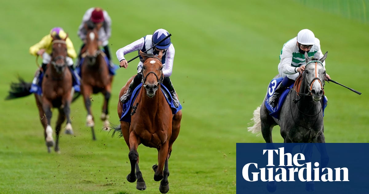 Racing could lose 10% of its trainers, warns next federation chief