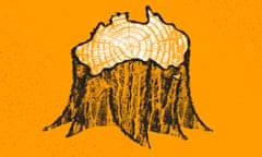 A black, white and yellow illustration of a tree stump with a cross section in the shape of Australia