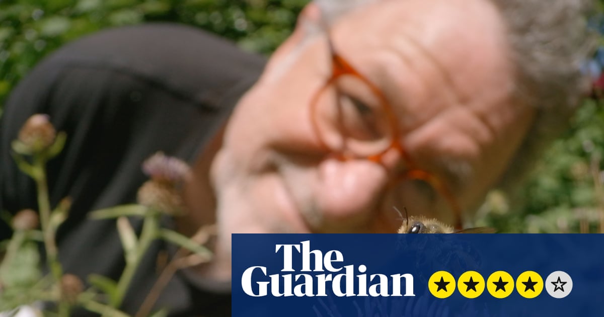 My Garden of a Thousand Bees review – a joyous film on the unbearable lightness of bee-ing