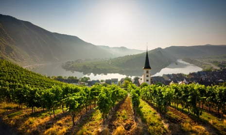Vineyards by the Mosel, Rhineland-Palatinate, Germany.