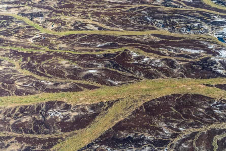 Rivers, green with vegetation and flowing, due to recent unusually high rainfall, near the edge of Lake Eyre North. Lake Eyre North, South Australia, Australia March 2022