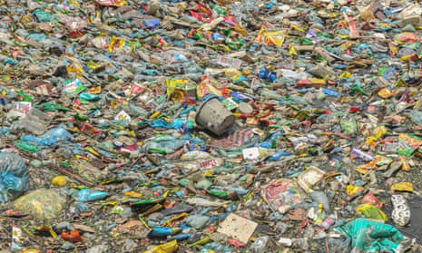 ‘Plastics now jam the stomachs of seabirds, sea turtles, sharks and whales that wash up dead. They litter remote beaches from the Aleutians to Midway to Pitcairn Island.’