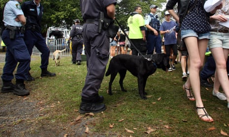 Police and sniffer dogs at a music festival