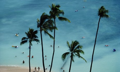 Hawaii beach and palm trees