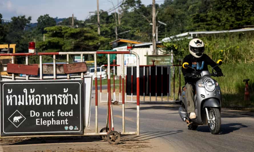 Signs warning tourists and locals not to feed the elephants have been placed along a street on which the animals often roam.