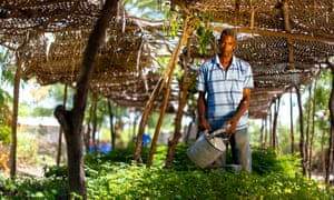 Timberland has enlisted Impact Farming, a US nonprofit, to carry out a feasibility study that will look for ways to farm cotton sustainably in Haiti.