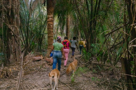 A group of women from the Monte Alegre quilombo community in the Amazonian part of Maranhão state set off to collect babaçu coconuts in a forest about 20 minutes away.